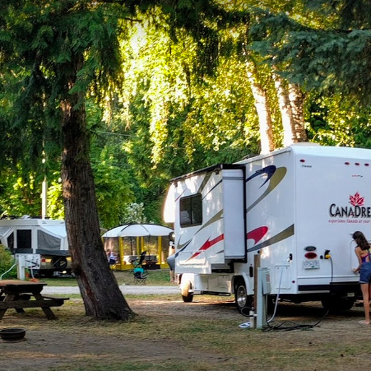 rv hooked up to power in forested campground
