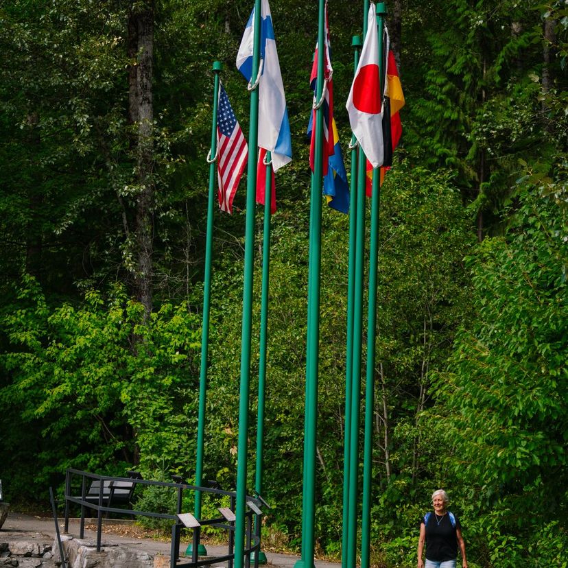 A person walks on a path lined with international flags in a lush green park setting.