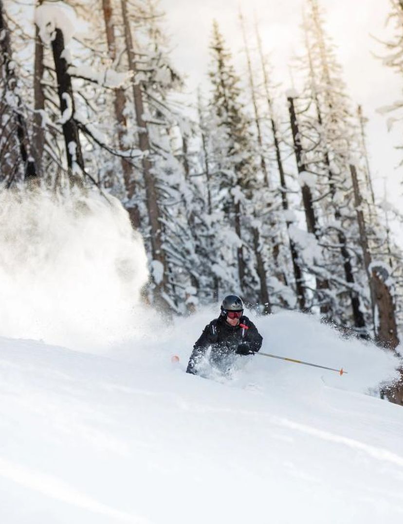 guy skiing through powder and trees