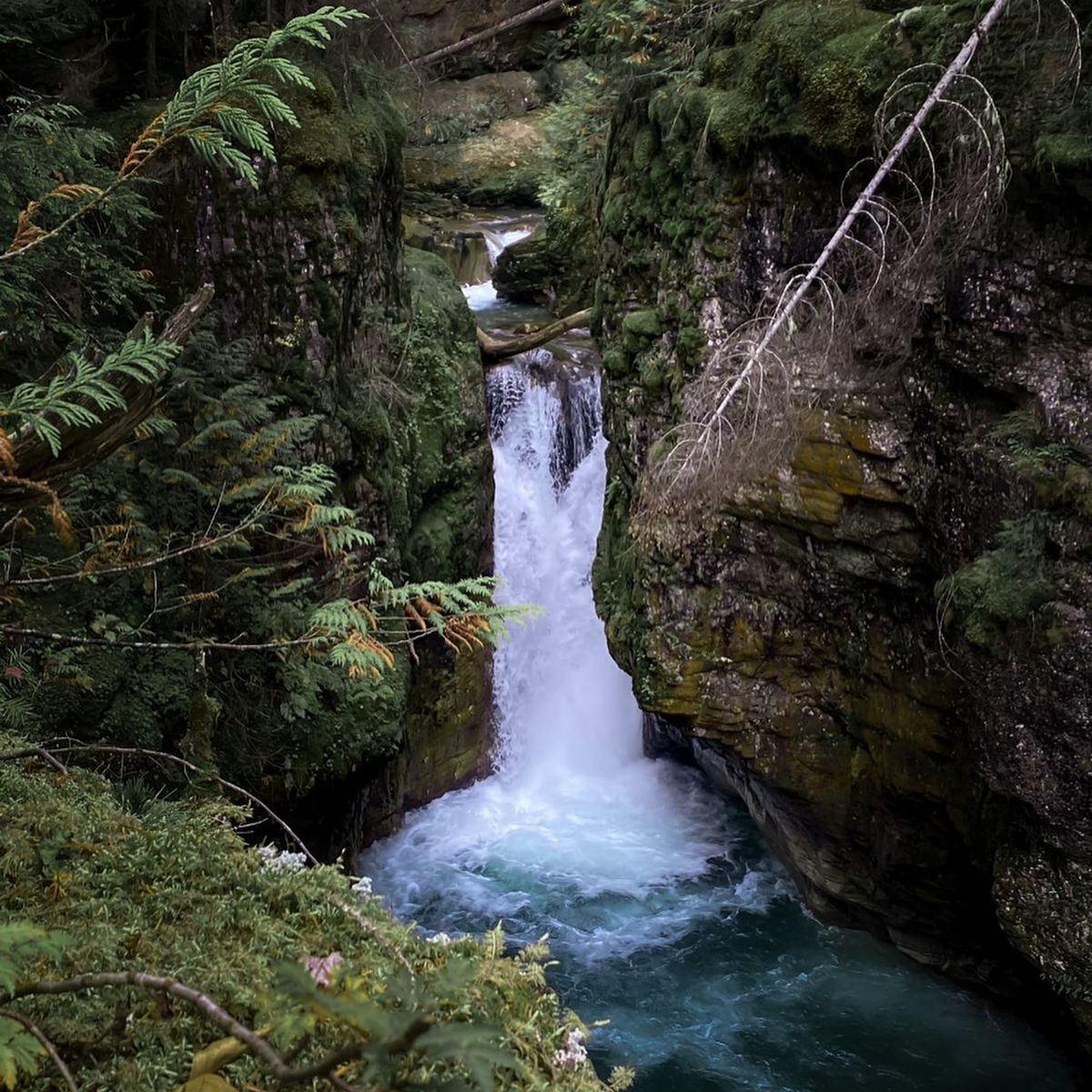 moody rainforest with waterfall