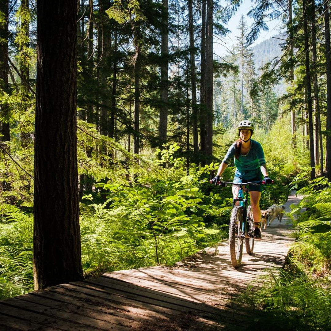 female mountain biker crossing a wooden bridge in forested trail network