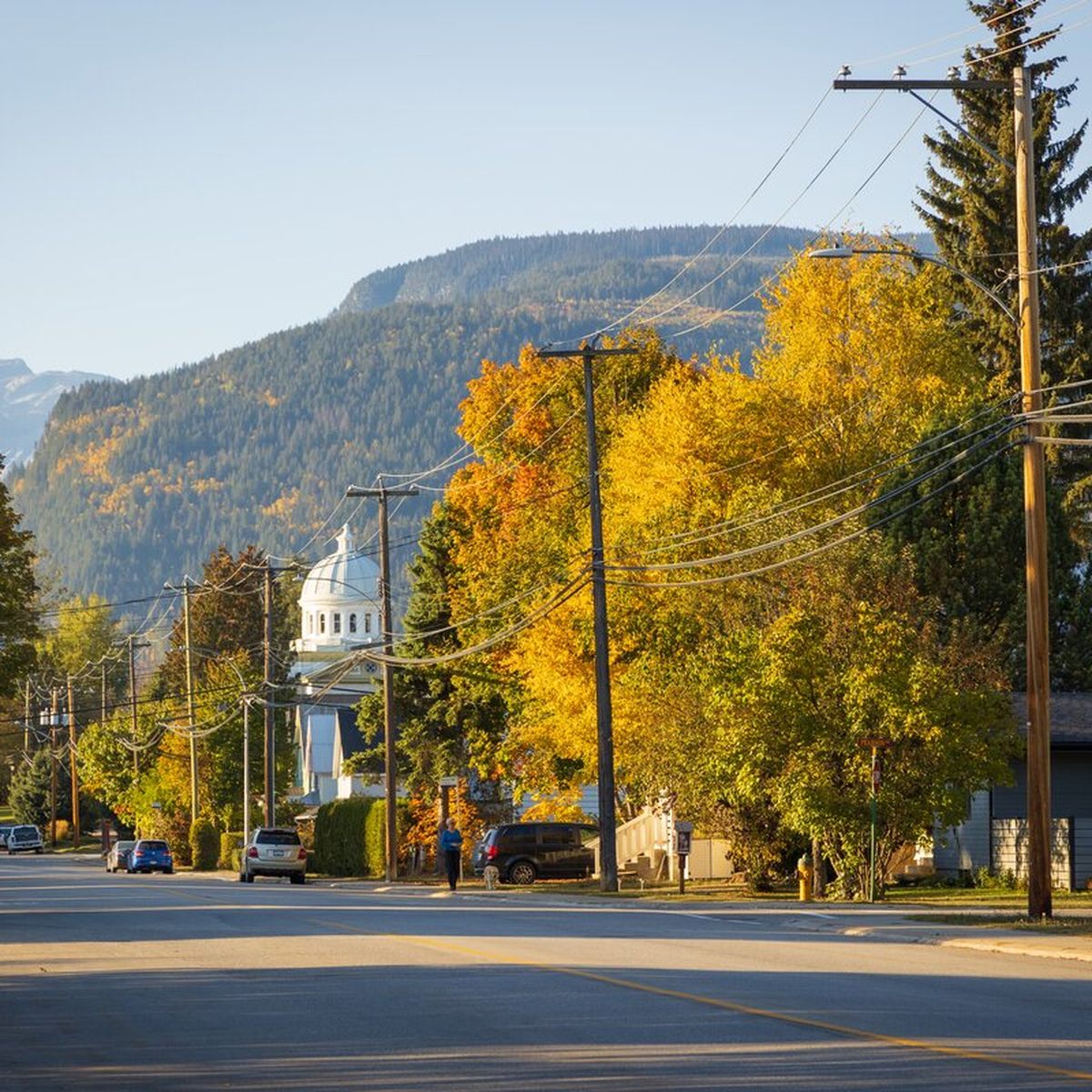 A quiet street lined with colorful autumn trees, power lines, and houses, with mountains and a domed building in the background.