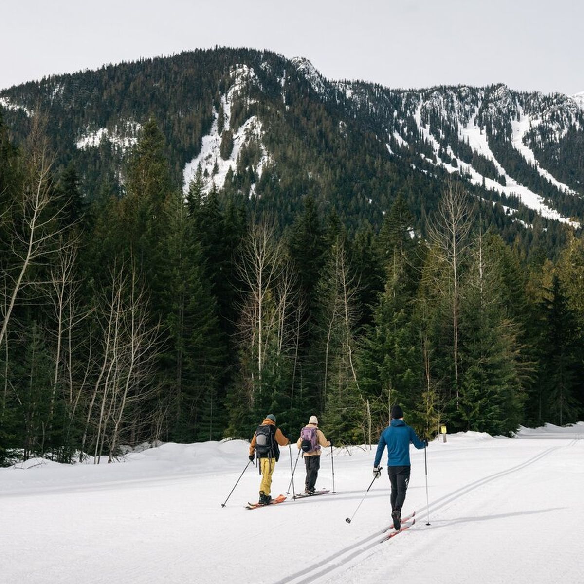 Backcountry Touring | Macpherson Access Via Nordic Trails | P Laura Szanto