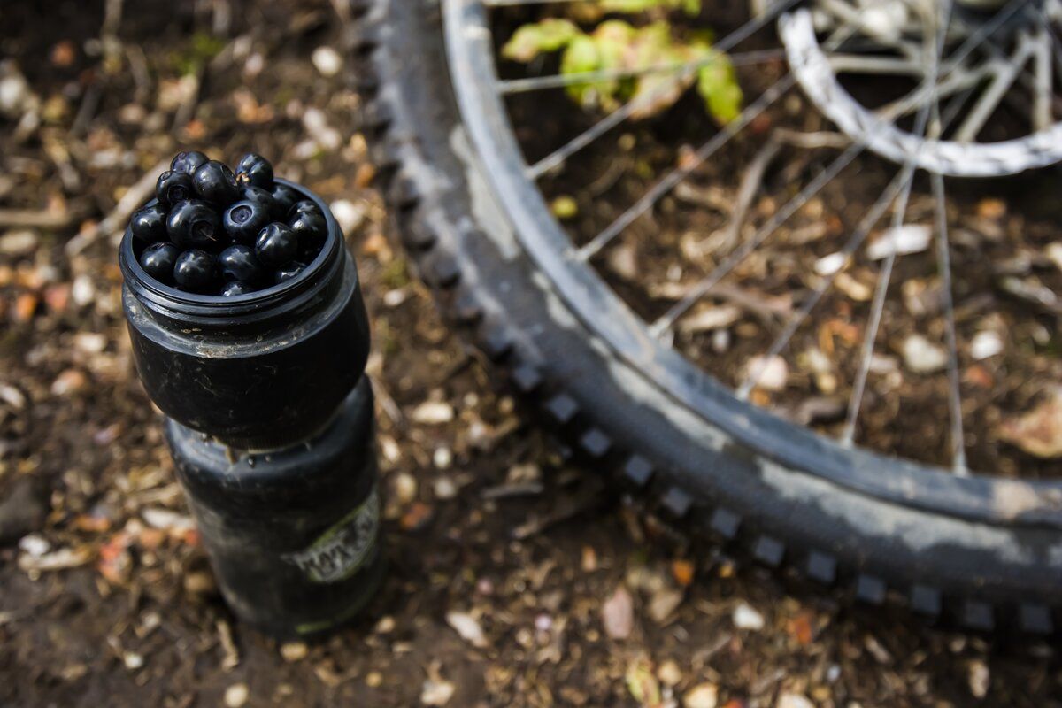 A black water bottle filled with berries, placed beside a bicycle tire on a forest floor covered with leaves and twigs.