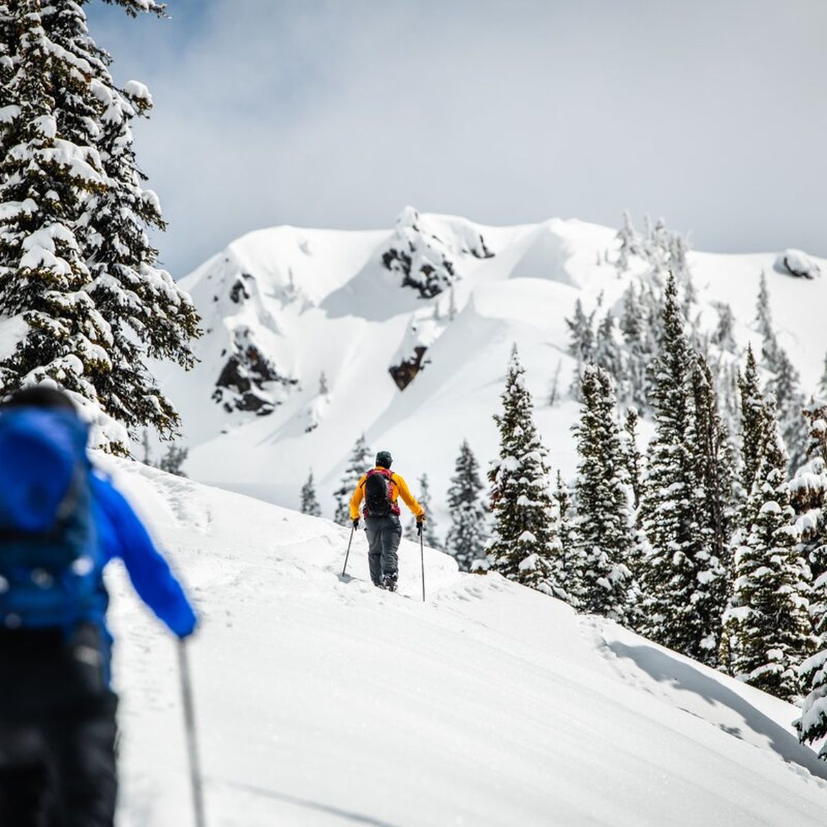 two people walking in backcountry below treeline towards summit of mountain