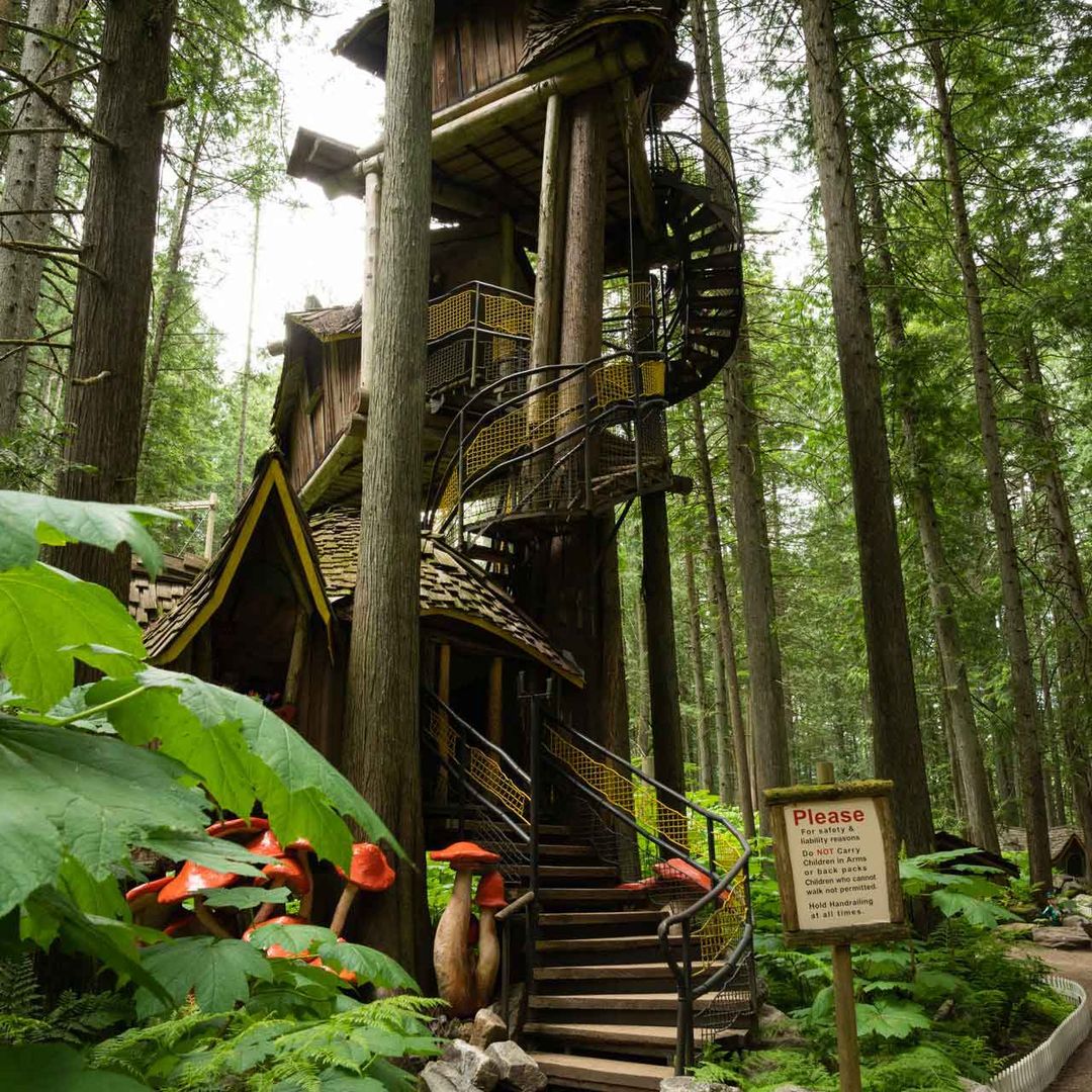 giant treehouse at the enchanted forest
