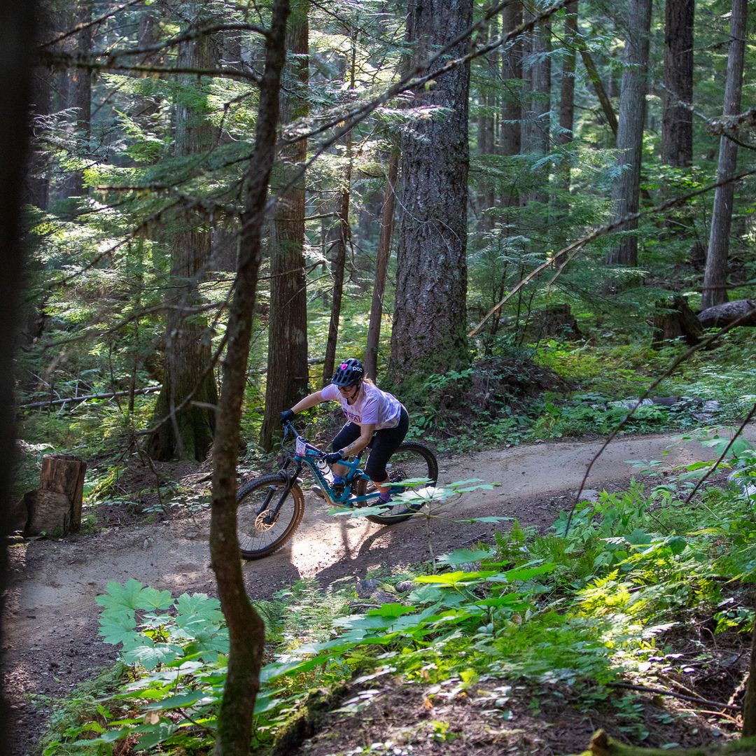 Cyclist riding through a lush, sunlit forest trail surrounded by tall trees and greenery.