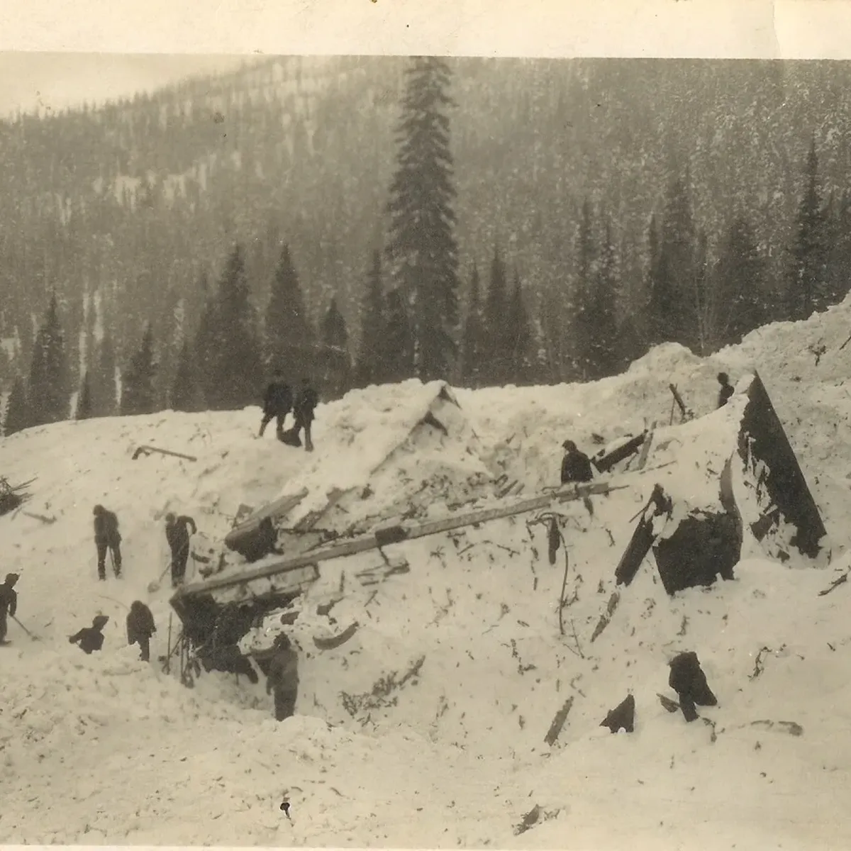 People working amidst snow-covered debris in a mountainous area, likely after an avalanche, with tall trees in the background.