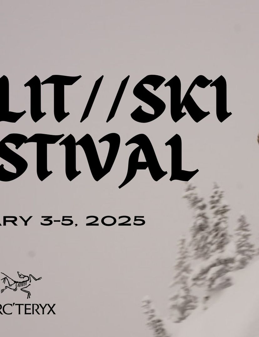 poster of splitboarders