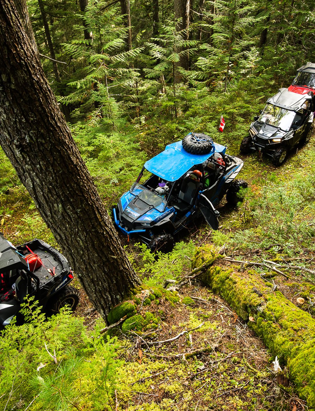 ground of atvs on a forest service road in the rainforest
