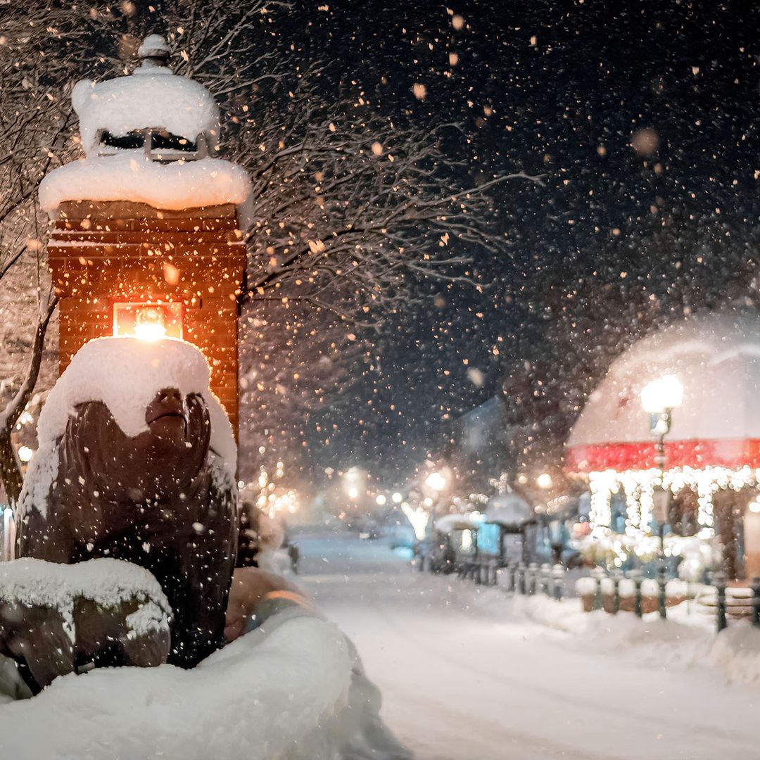 fluffy snow flying at night highlighted by street lights
