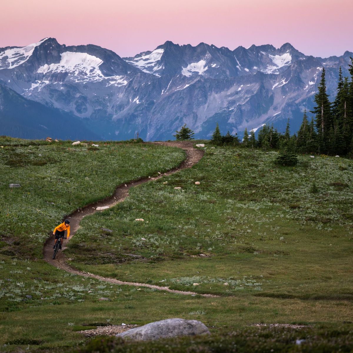 Mountain biker in orange jacket rides a winding trail across an alpine meadow toward snow-capped peaks beneath a pink twilight sky.