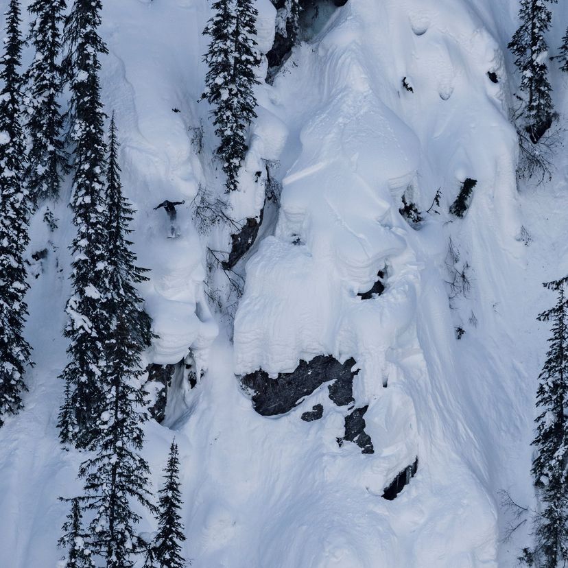 snowboarder shredding down tree'd backcountry line