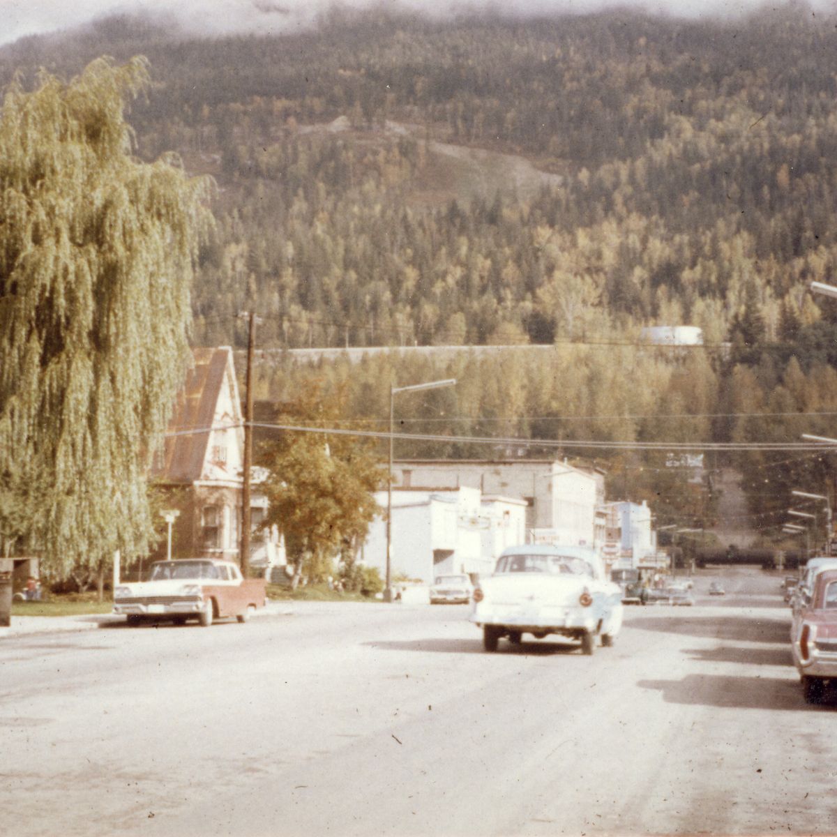 A vintage street scene with classic cars, a large tree, and houses, set against a backdrop of forested hills and a cloudy sky.