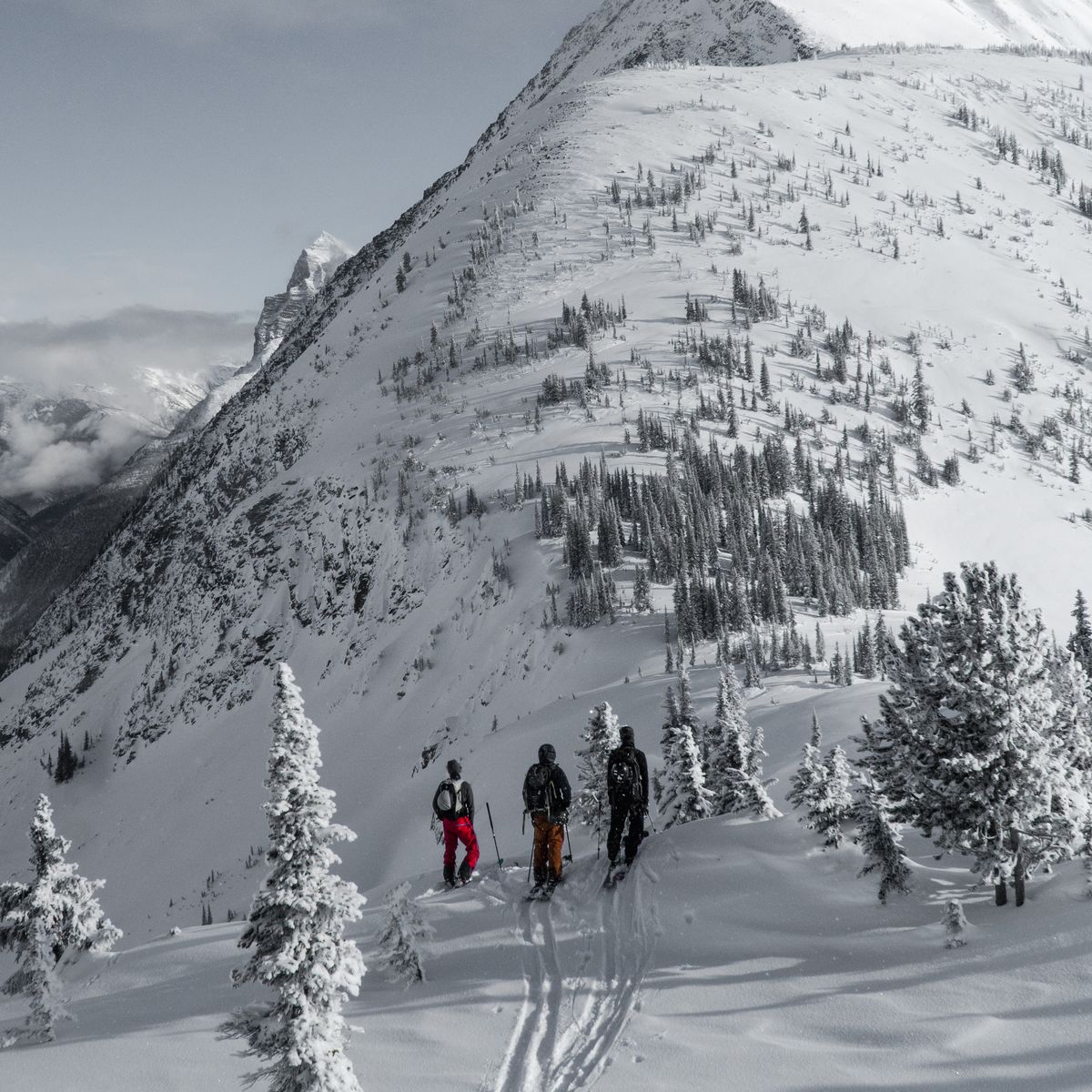 Three skiers traverse a snowy mountain slope under a cloudy sky, surrounded by snow-covered trees and peaks.