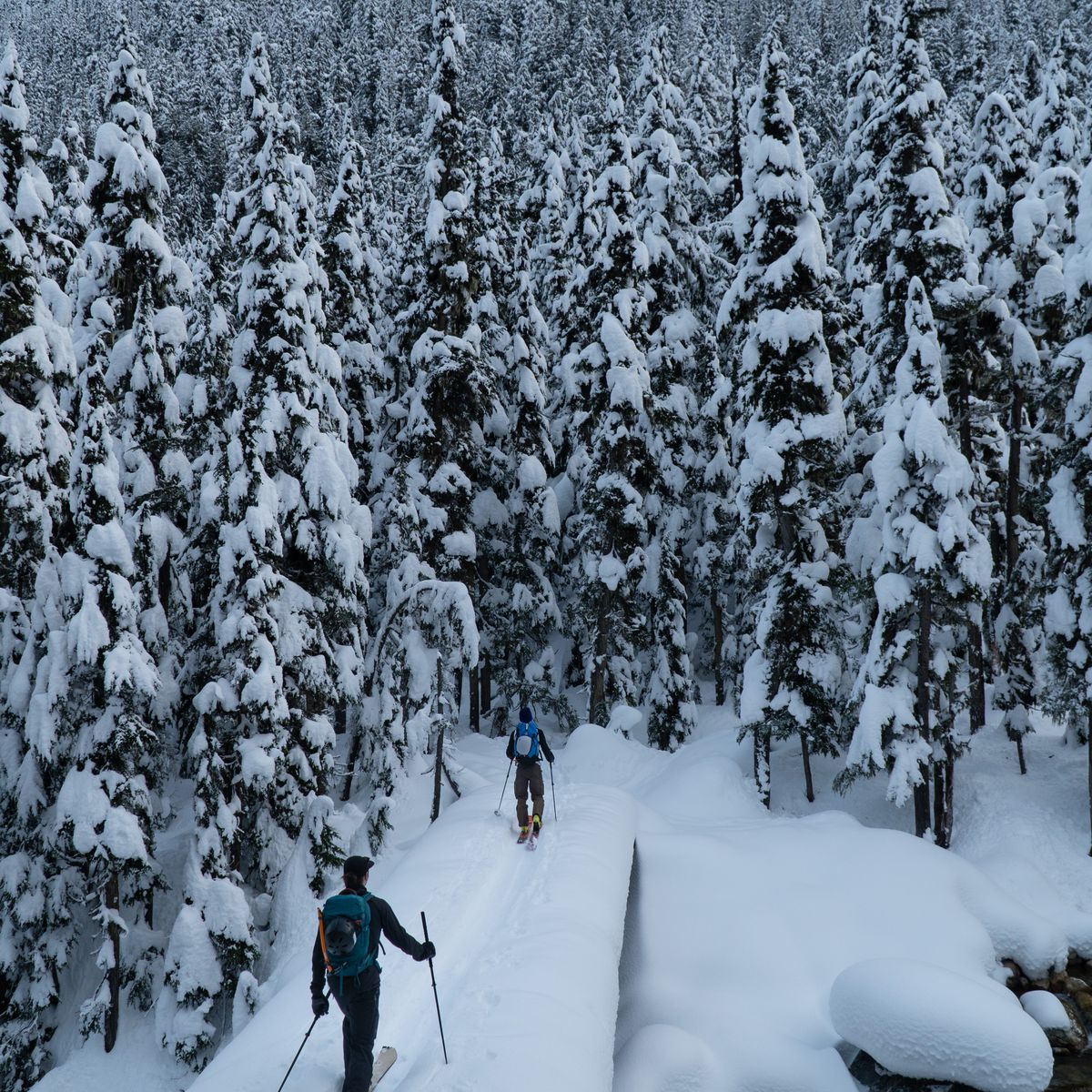 Two people cross a snow-covered bridge in a dense, snowy forest, surrounded by tall, snow-laden trees under a cloudy sky.
