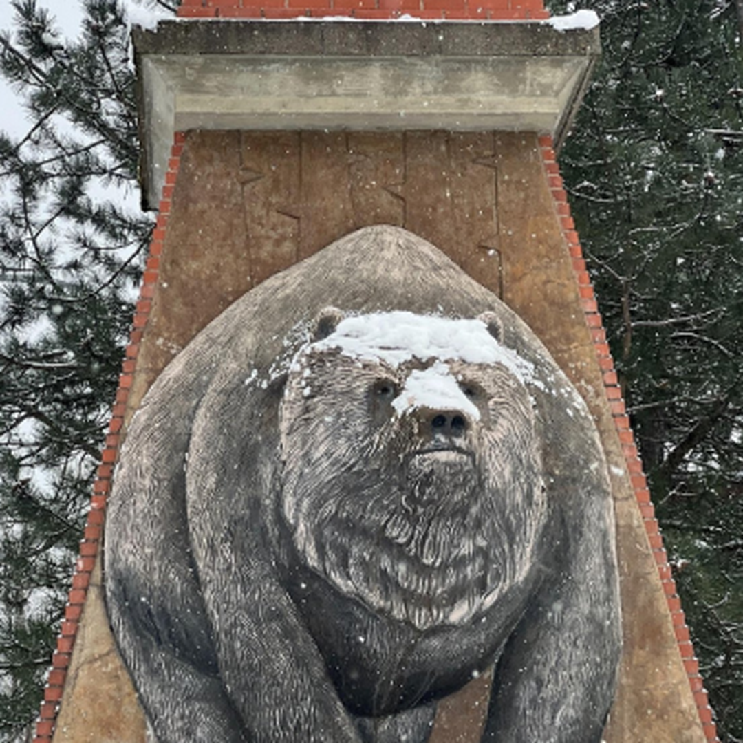 Mural of a bear covered in snow on a brick structure, surrounded by pine trees and a snowy landscape.