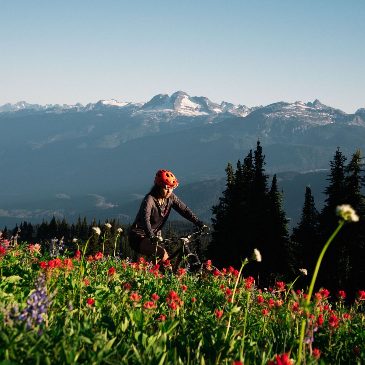 girl mountain biking through wildflowers