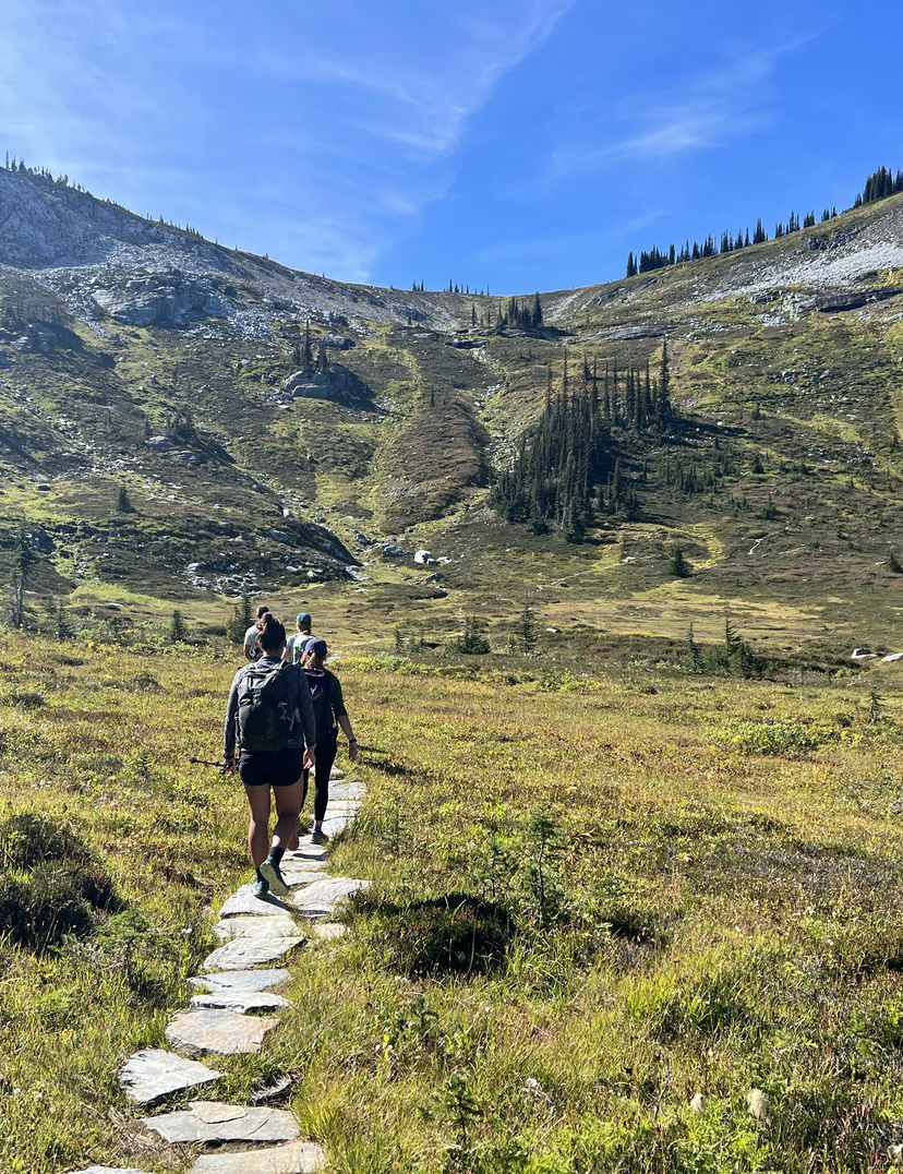 group hiking in alpine meadow towards summit