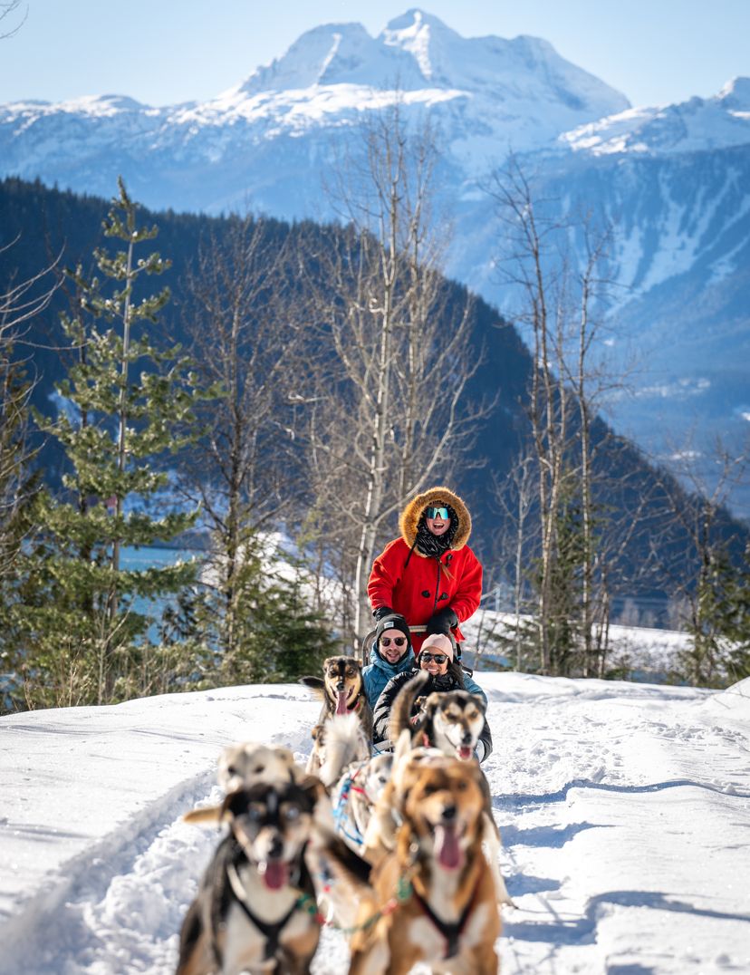 group dog sledding with three peak mountain in background