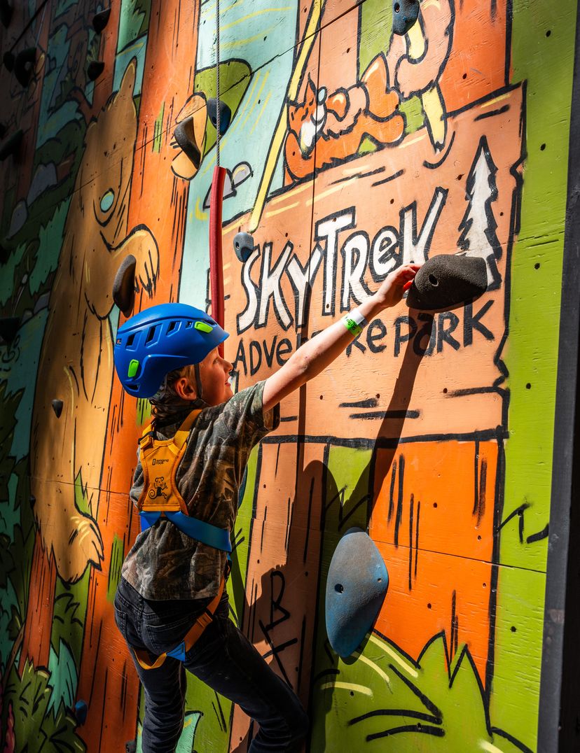 Child in a blue helmet climbing a colorful rock wall with woodland illustrations at SkyTrek Adventure Park.