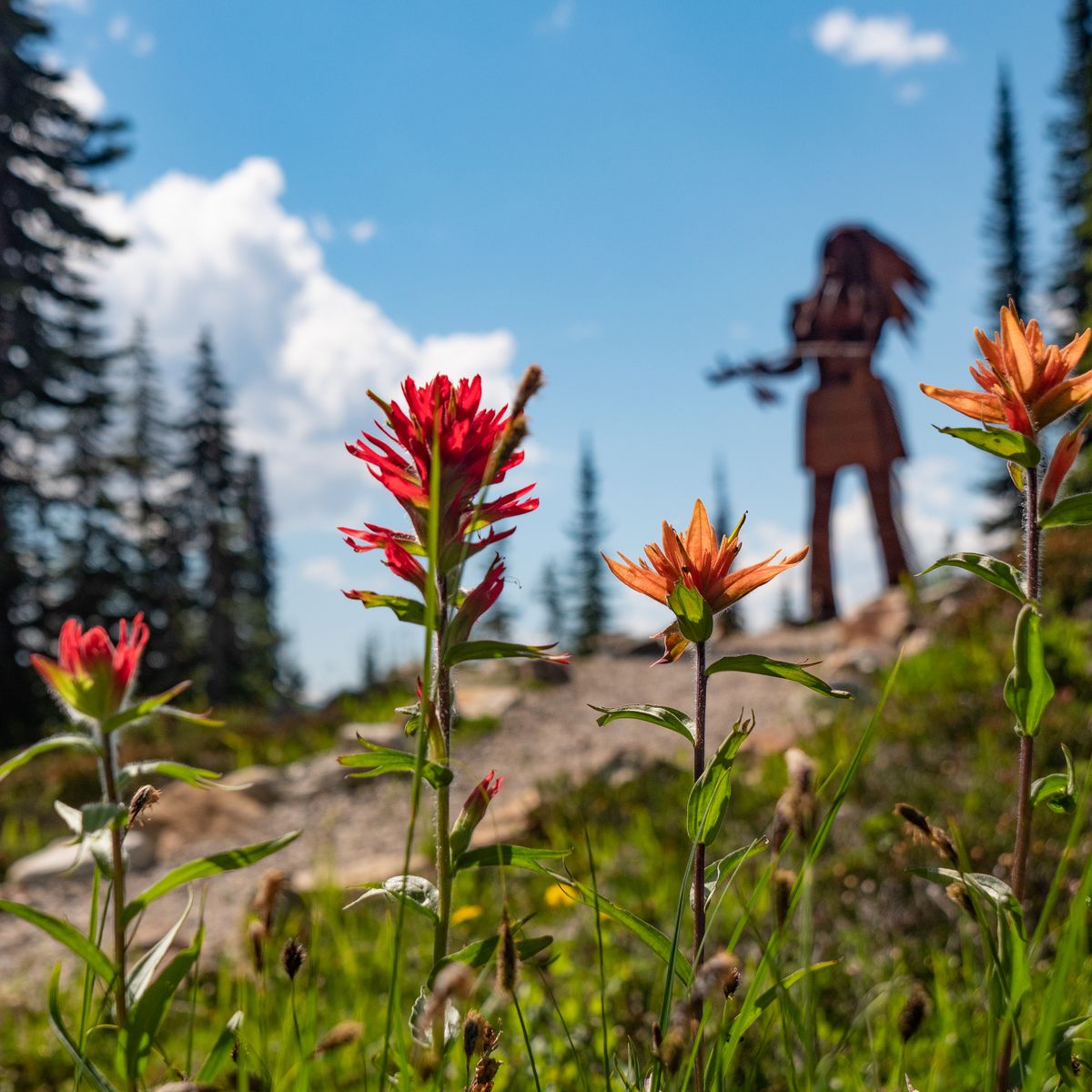 trail with wildflowers and art