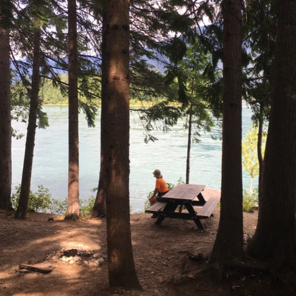 A person in an orange shirt sits on a picnic table by a calm river, surrounded by tall trees and a small fire pit.
