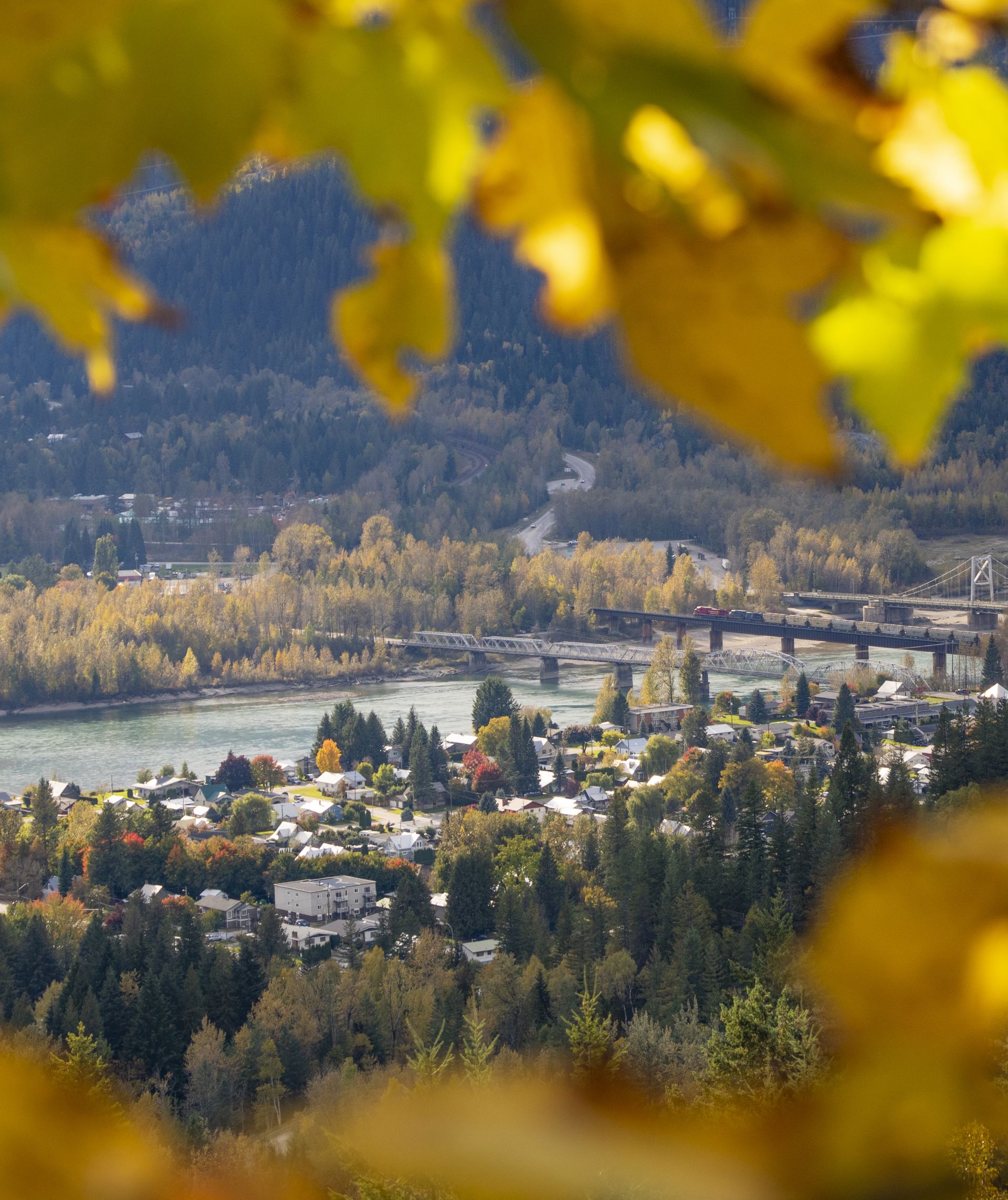 downtown Revelstoke peaks through some out-of-focus yellow leaves