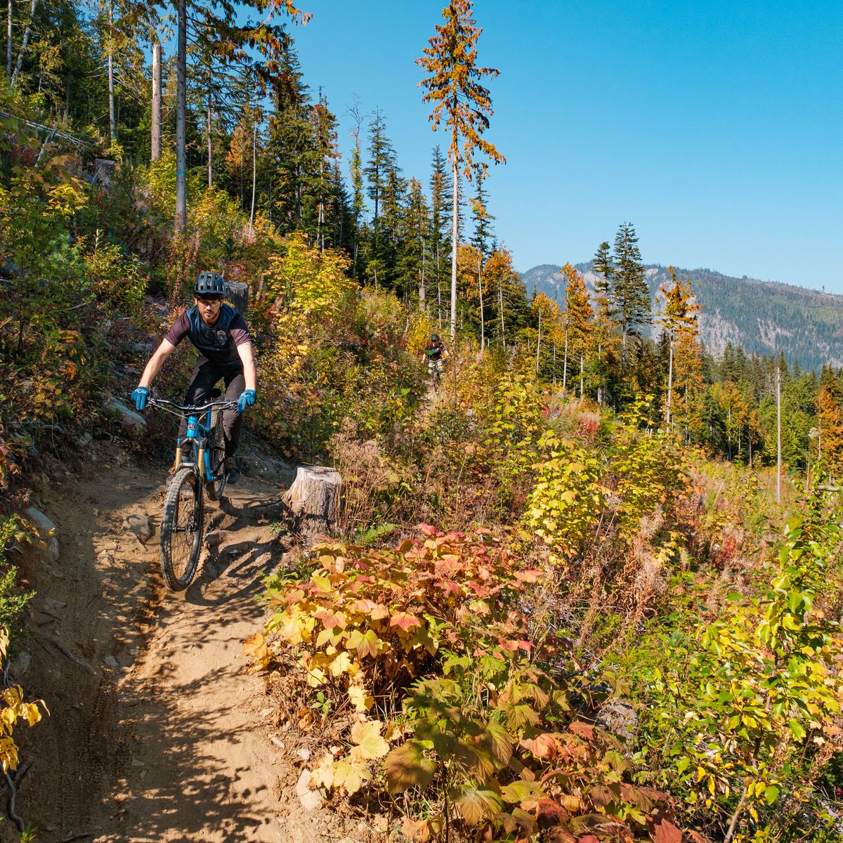 Mountain biker races down a trail in a cut block