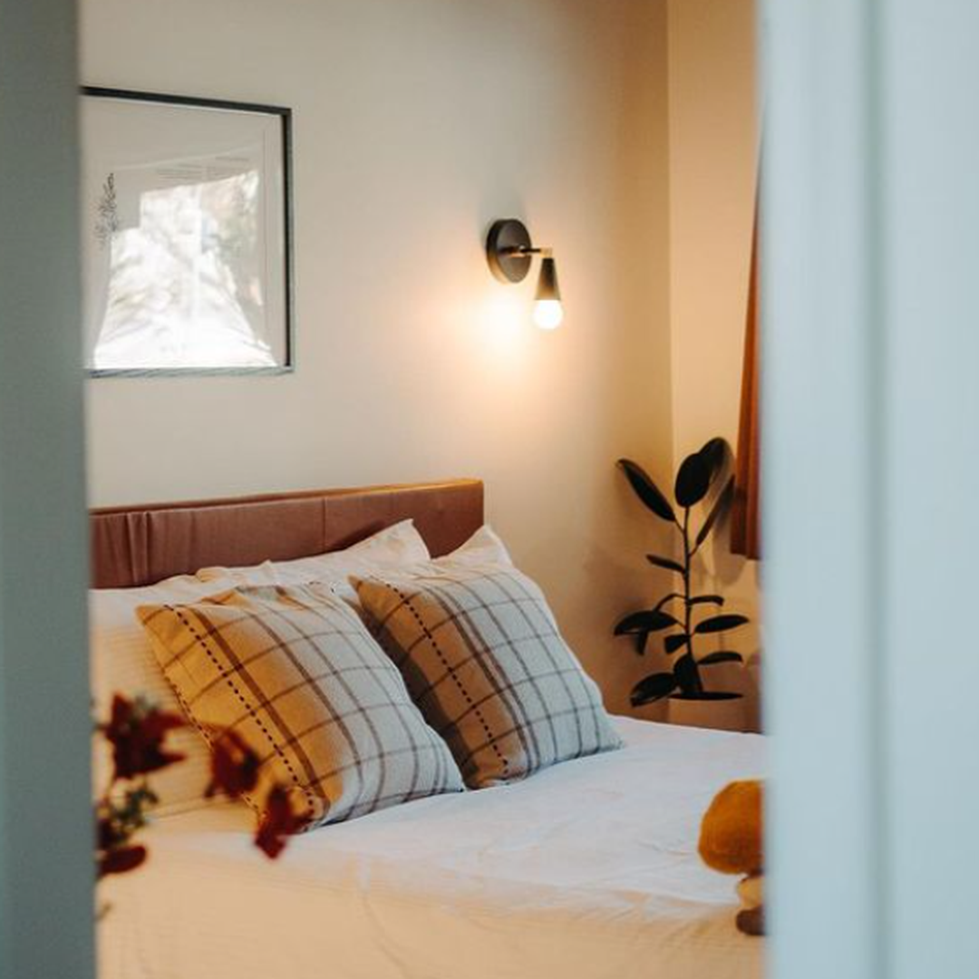 cozy modern bedroom interior with pillows and plant