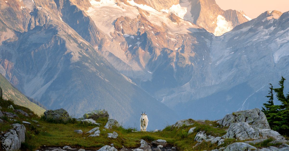 Glacier National Park, Canada | Tourism Revelstoke