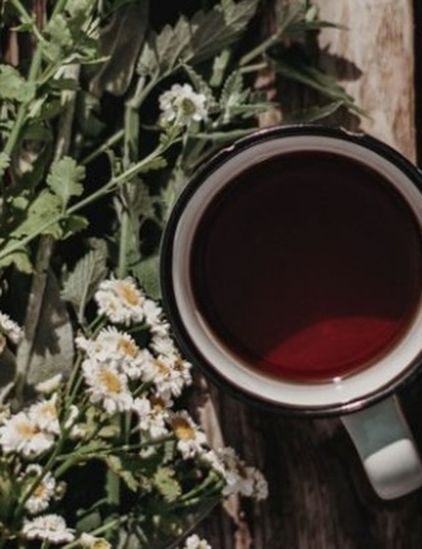 REVEL & FEAST: A botanical Workshop - 16-10-26
