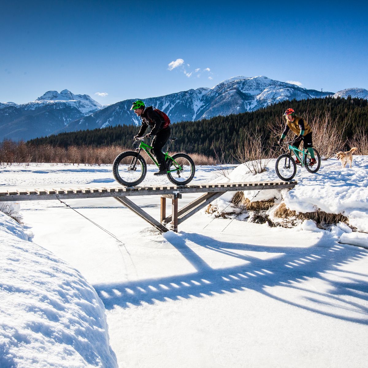 two people riding fat bikes on snow covered trail with dog