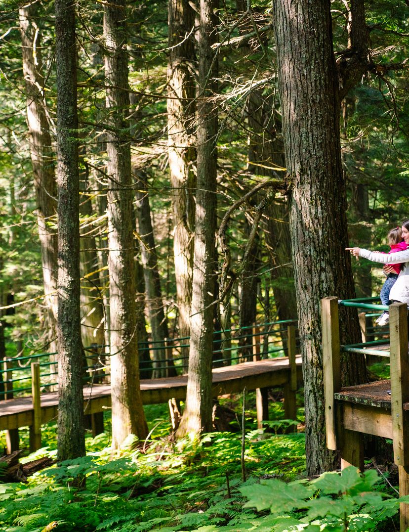 mom and daughter looking at forest from boardwalk