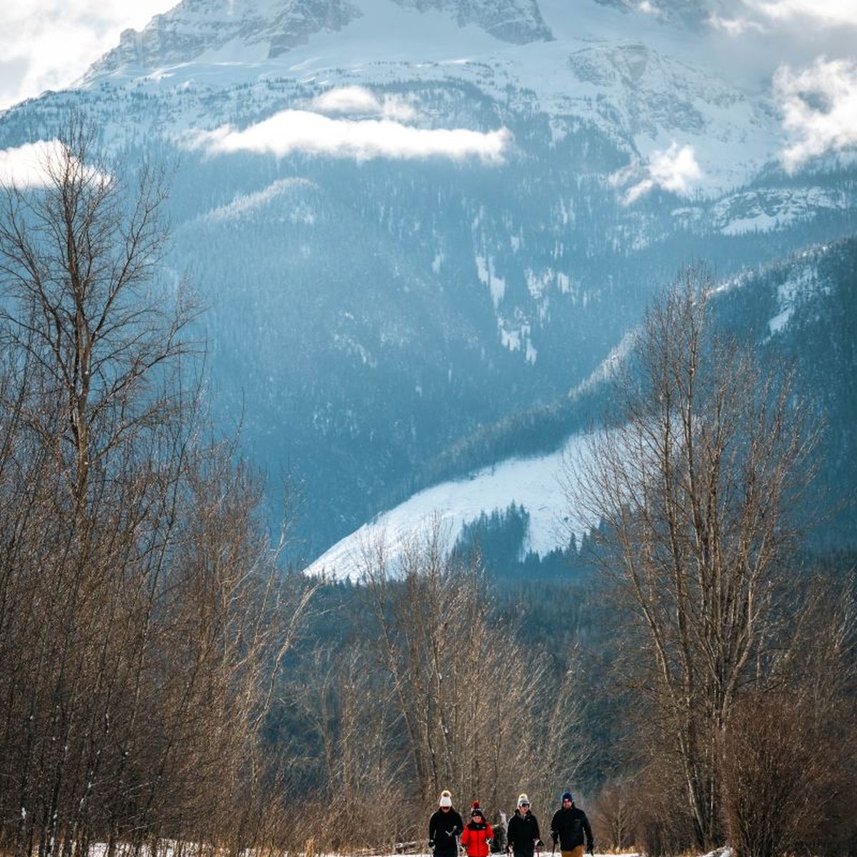 A group of people walks on a snowy path with majestic, snow-covered mountains and leafless trees in the background under a partly cloudy sky.