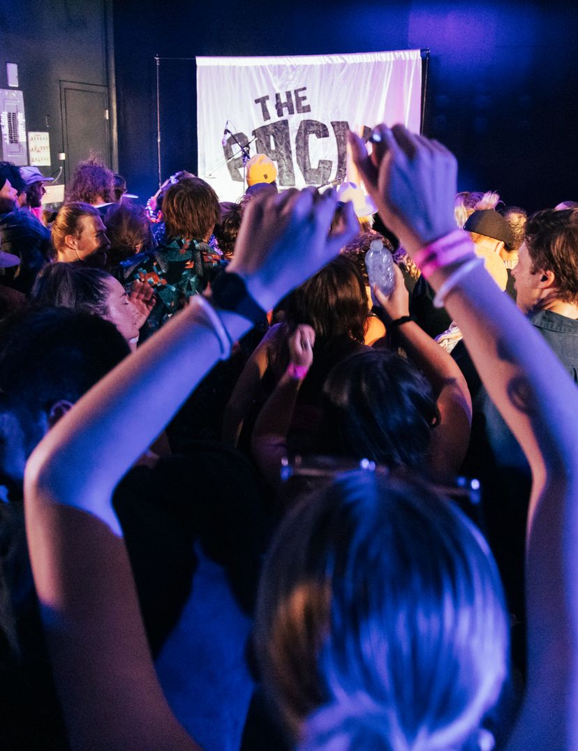 crowd at music event