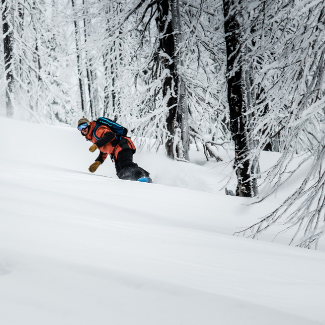 snowboarding through trees