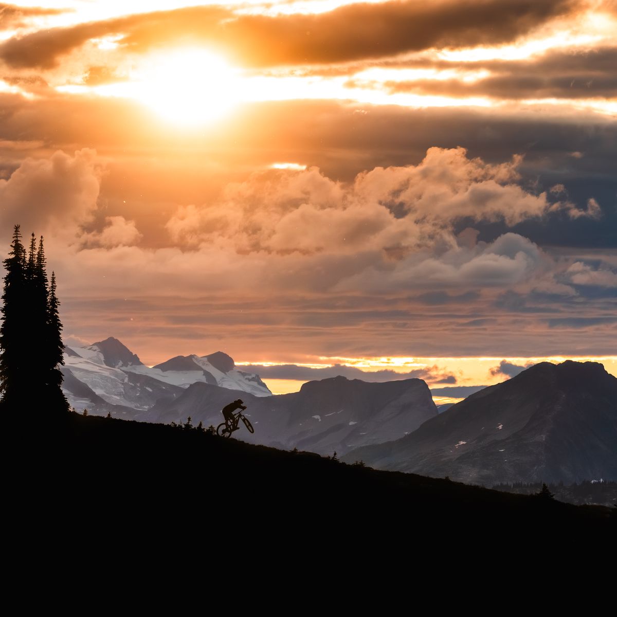 sunset photo of mountain biker in subalpine