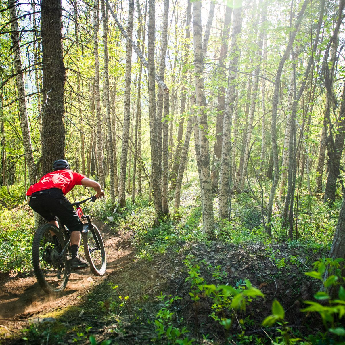 guy in party shirt mountain biking through lush forest