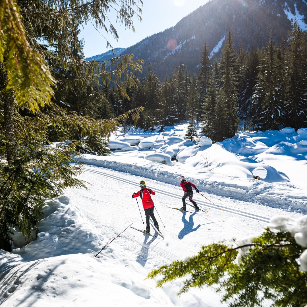 A couple nordic skis down a sunny clear path