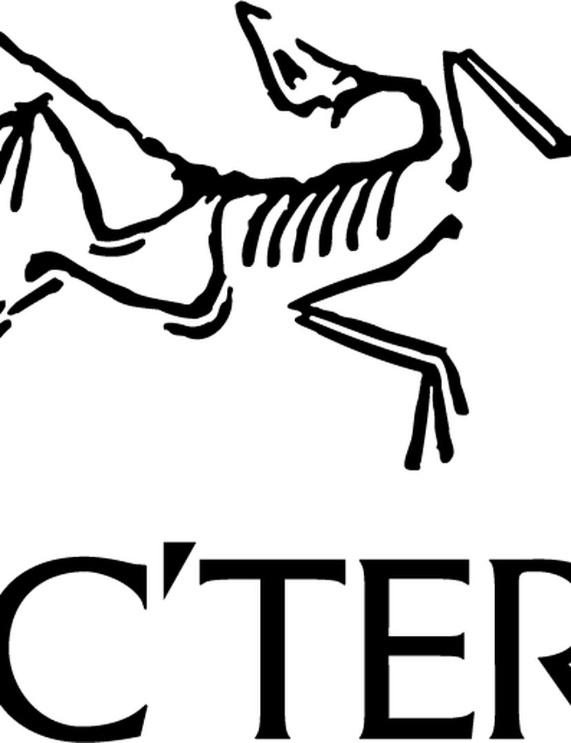 logo of bird for outdoor brand