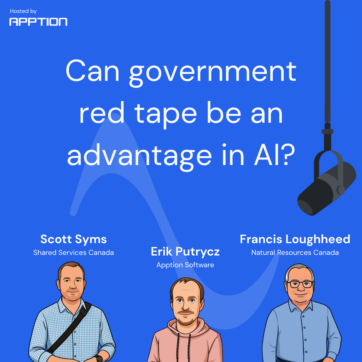 Can government red tape be an advantage in AI?