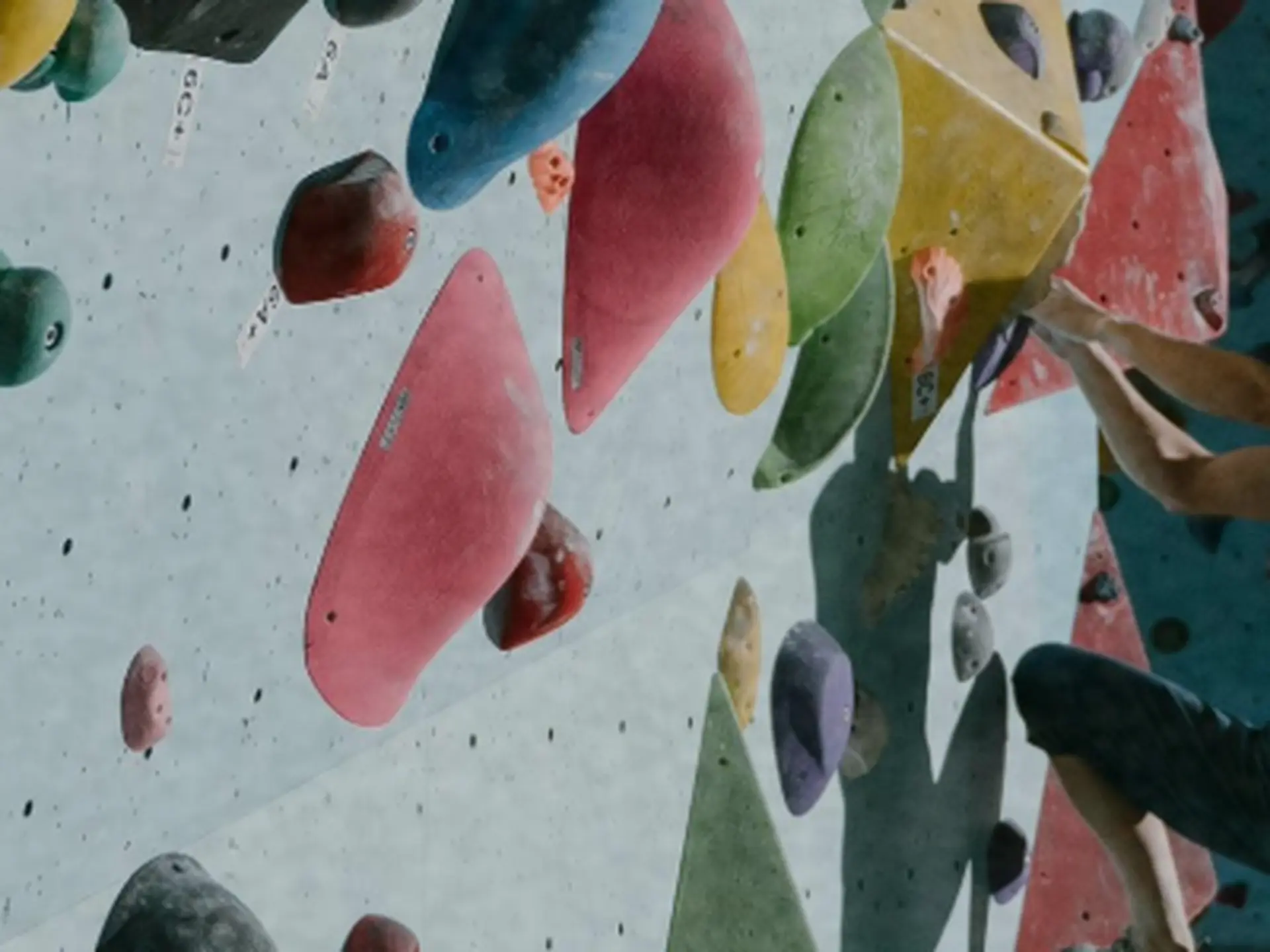  Rock Oasis: How to Plan a Great Climb Near the Beaches (Toronto)