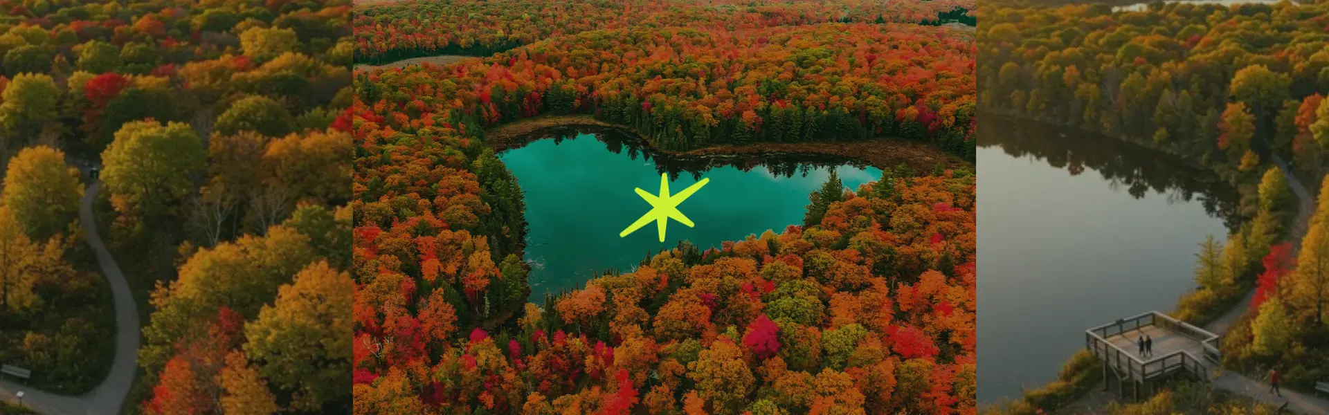 kindling cannabis 1 hour free delivery magazine heart lake hike to do in brampton hiking activity
