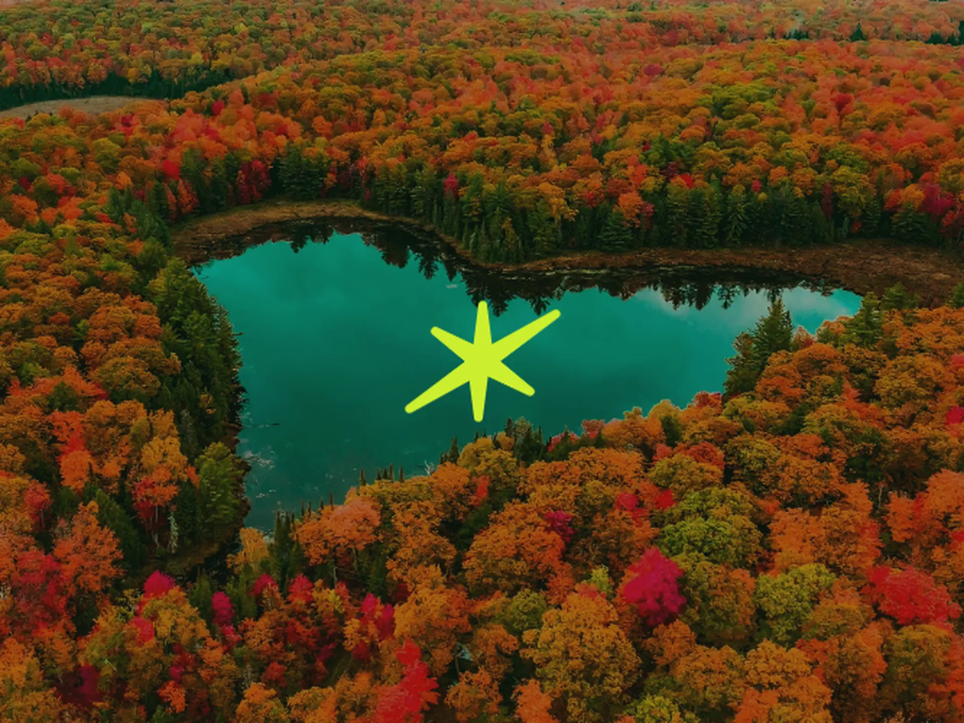 Explore Heart Lake: A Hiking Day in Brampton