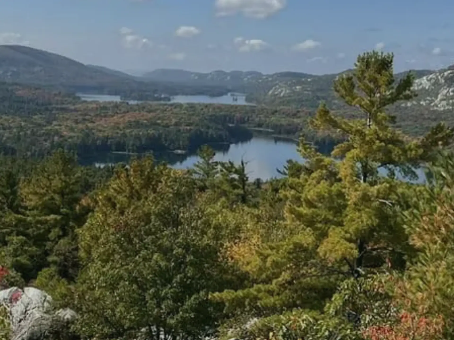 Trade the City Rush for an Elevated Hike at Scanlon Creek: Bradford & Newmarket
