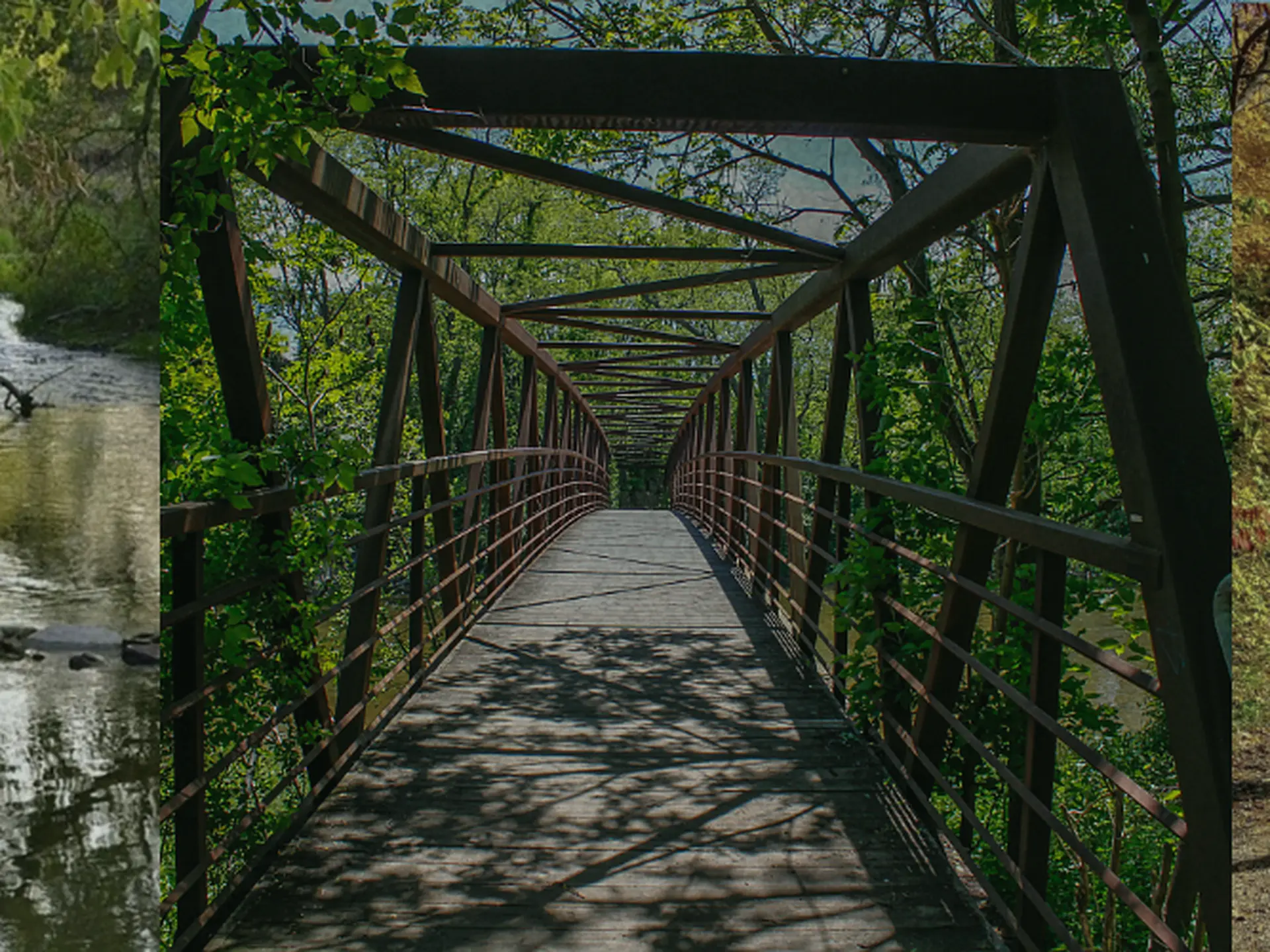 Culham Trail in Streetsville and Meadowvale: A Credit River Walk Worth Slowing Down For
