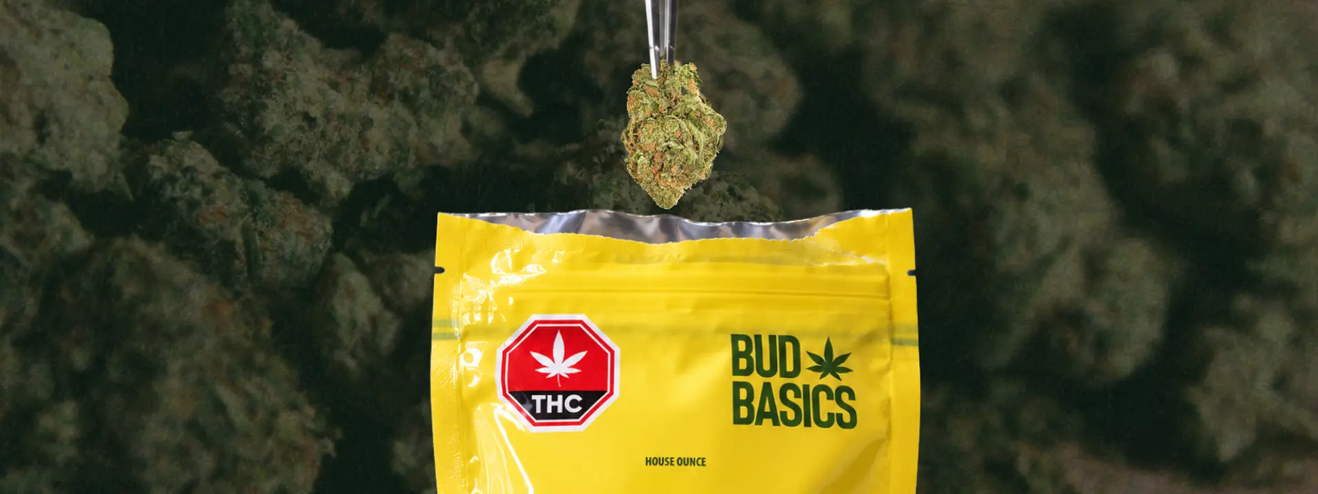 Cannabis Store & 1-Hour Delivery Near You