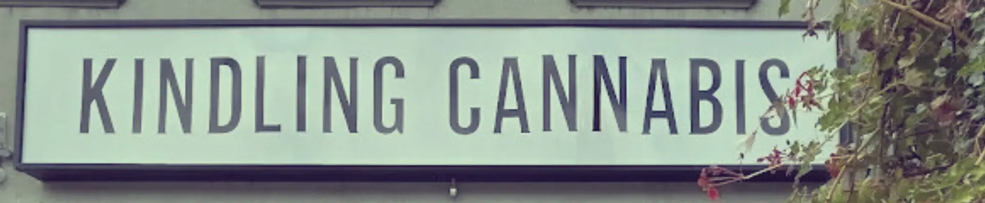 Cannabis & Weed Delivery Windsor: Free 1-Hour Cannabis Delivery