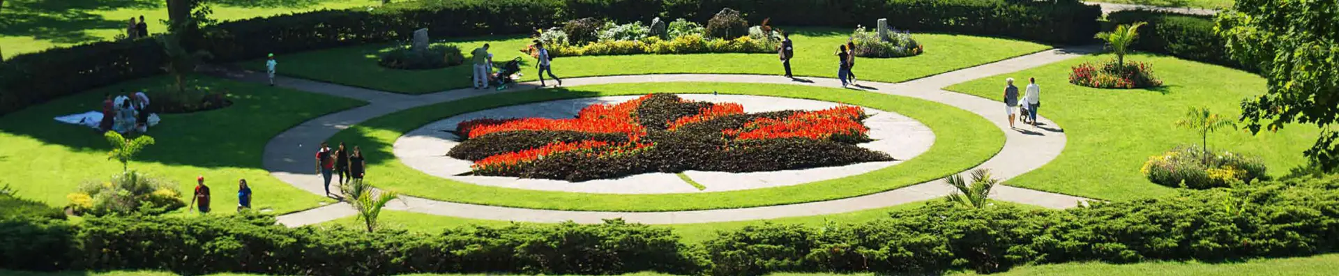 high park's maple leaf  garden arrangement in hillside gardens view from above the hill golden hour